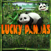 Lucky Pandas